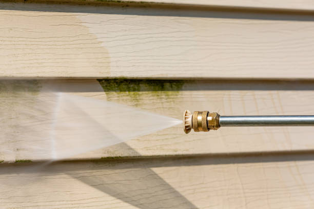 Best Roof Pressure Washing  in Franklin Furnace, OH
